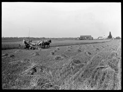 Seneca Castle Farm, Ontario County