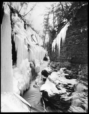 Watkins Glen