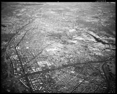 High of Bronx (4 of 13)