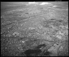 High of Bronx (9 of 13)