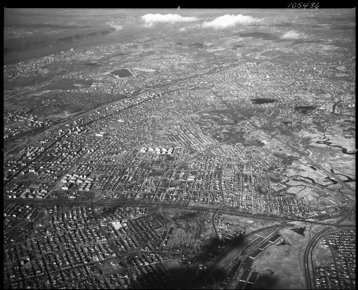 High of Bronx (8 of 13) 