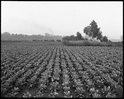 Mohawk Valley