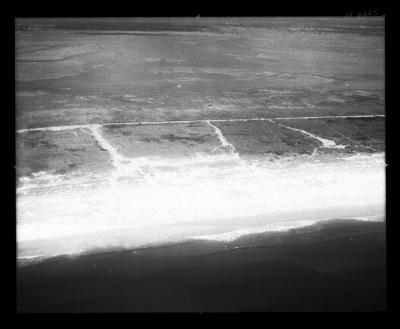 Lido Area, N.Y. (1 of 11)