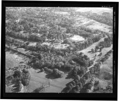 Batchelor Area, N.Y. (6 of 9) 