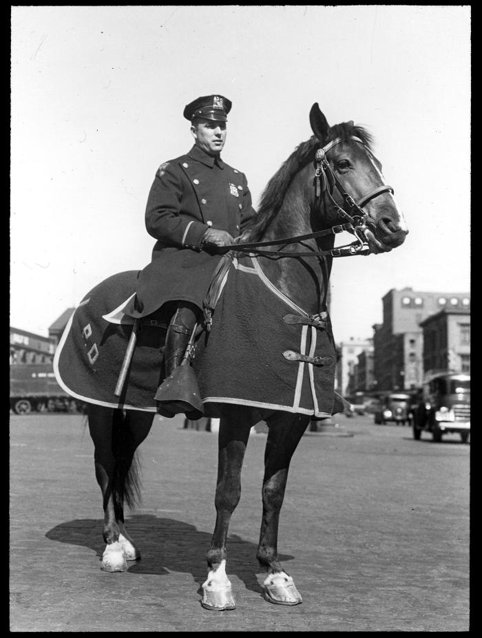 New York City Mounted Policeman