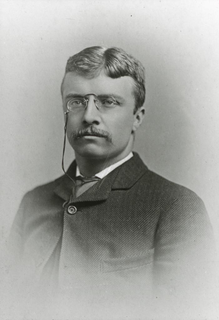 [Portrait of] Theodore Roosevelt as Assemblyman