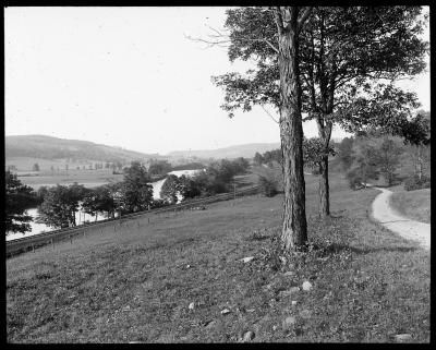 Susquehanna River at Nineveh