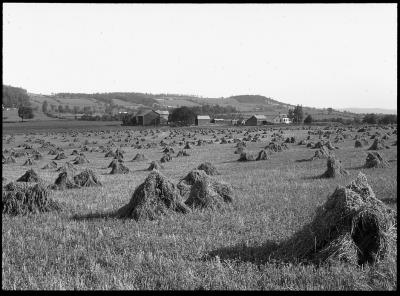 Mohawk Valley