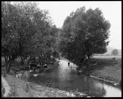 Mohawk Valley