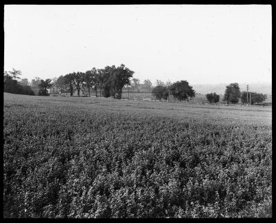 Mohawk Valley