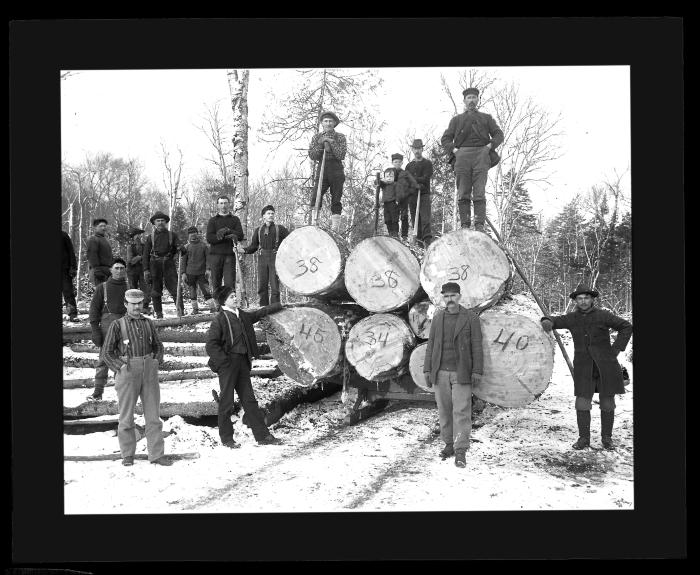 Transporting Logs