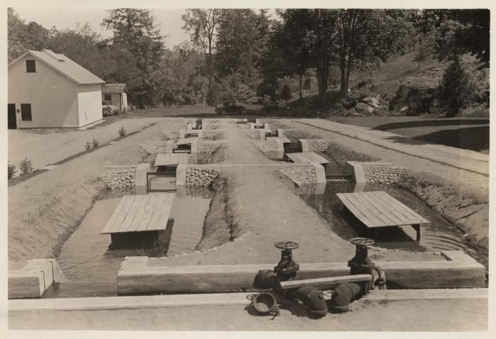 Rearing troughs at Summitville Fish Hatchery