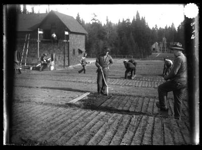 Men Tilling a Field 