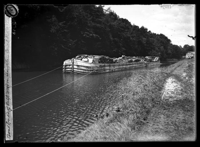 Boat Loads of Pulp Wood on Champlain Canal