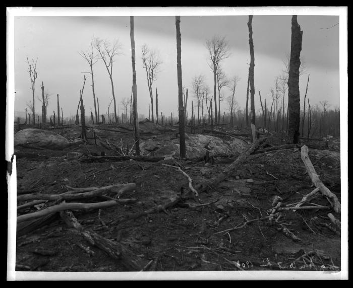 Long Lake West Fire