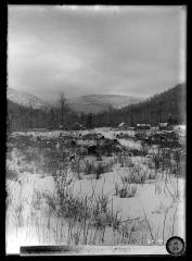 Clearing in the Adirondacks