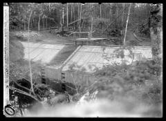 Slide for Logs Near Rosslam, Ontario