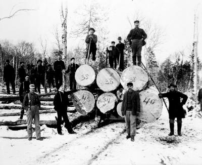 Environment. Adirondack lumberjacks