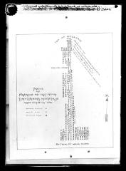 Sketch of Plantation on East End of Timothyberg Mountain