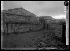 Lumber Piles at Tupper Lake, N.Y.