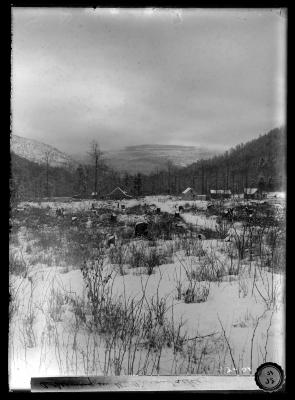 Clearing in the Adirondacks