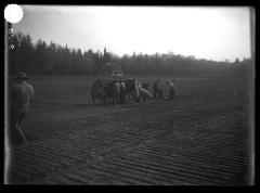 Men Tilling a Field 