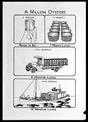 Million Oysters Conservation Chart