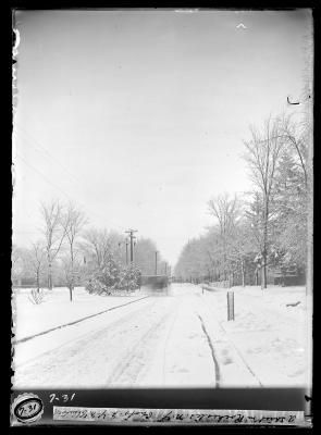 Street in Rochester, N.Y.