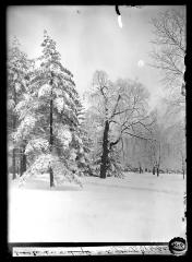 Snow Scene in Washington Park, Albany 