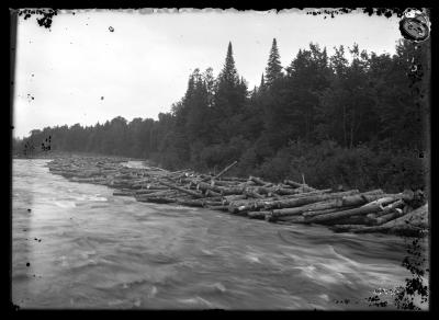 Log Jam on the Raquette River