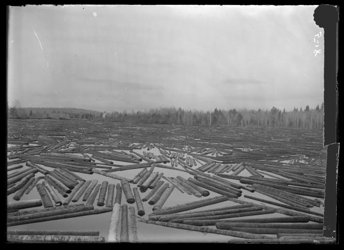 Spruce Logs above Dam in Boreas River