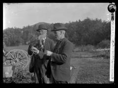 Examining Planting Stock