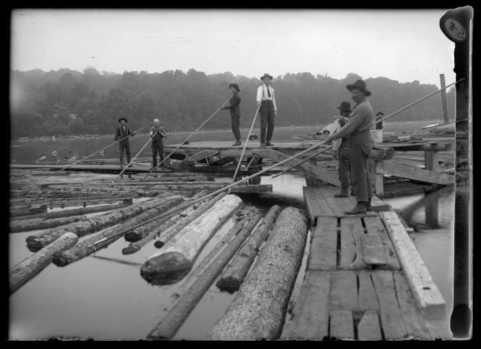 Sinking Logs at Tupper Lake