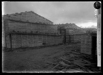 Lumber Piles at Tupper Lake, N.Y.