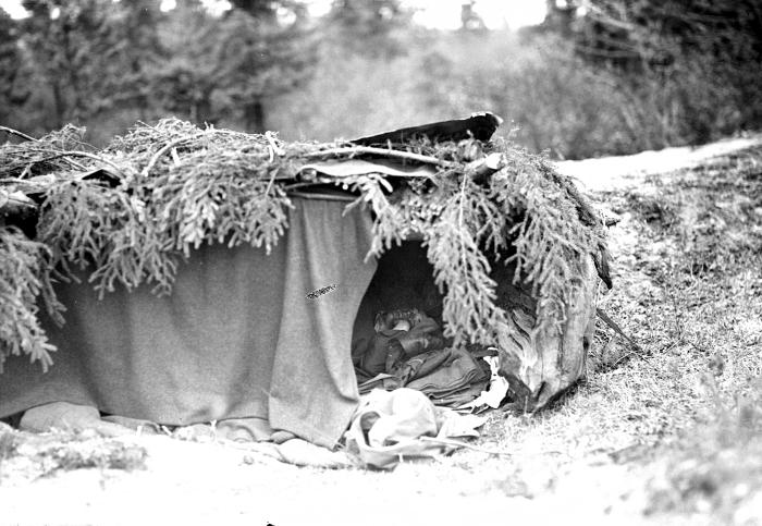 Forest Firefighter - Sleeping in Lean To