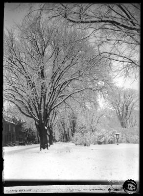 Snow Scene in Washington Park, Albany, N.Y. 