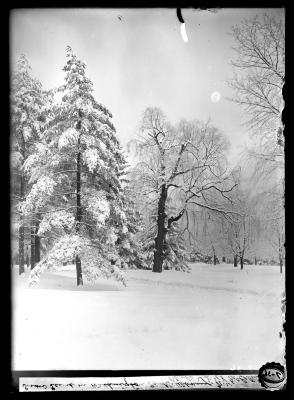 Snow Scene in Washington Park, Albany 