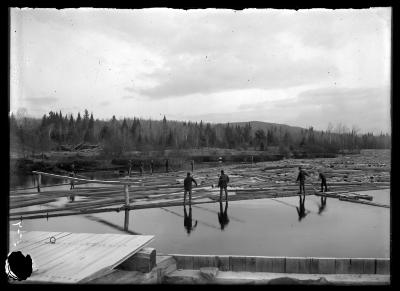 Sinking Logs at Tupper Lake