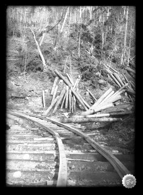 Logs by a Railroad Track