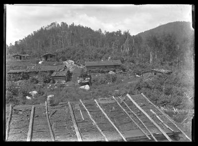 Lumber camp Santa Clara Lumber Co. on Mt. Seward