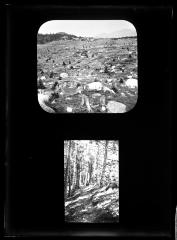 Div. of Land and Forests; 1-A Stump Pasture; 2-A Wood Path Through a Stand of Very Old Spruce (Copied from Slides, Multiple Images on One Glass Plate)