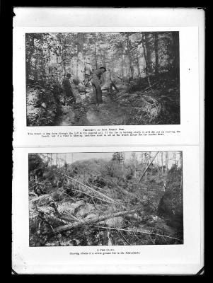 Div. of L and F: 1. trenching to stop fire; 2. a fire slash (copies of two old prints)