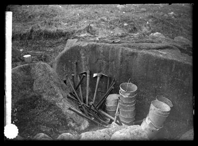 Tools Used for Planting Trees