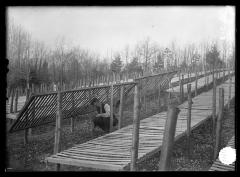 Brown Station Nursery Catskill