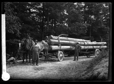 Hauling Timber in the Black Forest, Geraldsau