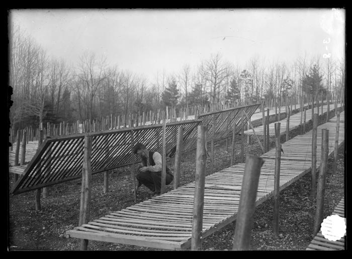 Brown Station Nursery Catskill