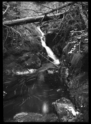 View on Brook Tributary to Ward's Creek Which Flows Down Lower Slopes of Seward Mountain