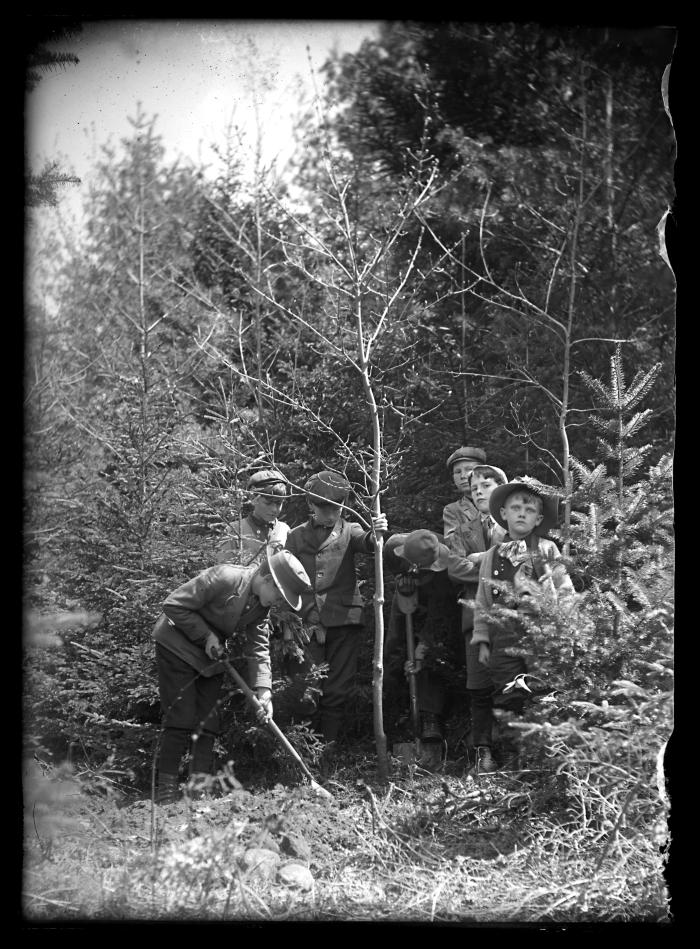 Planting the Arbor Day tree Stratford