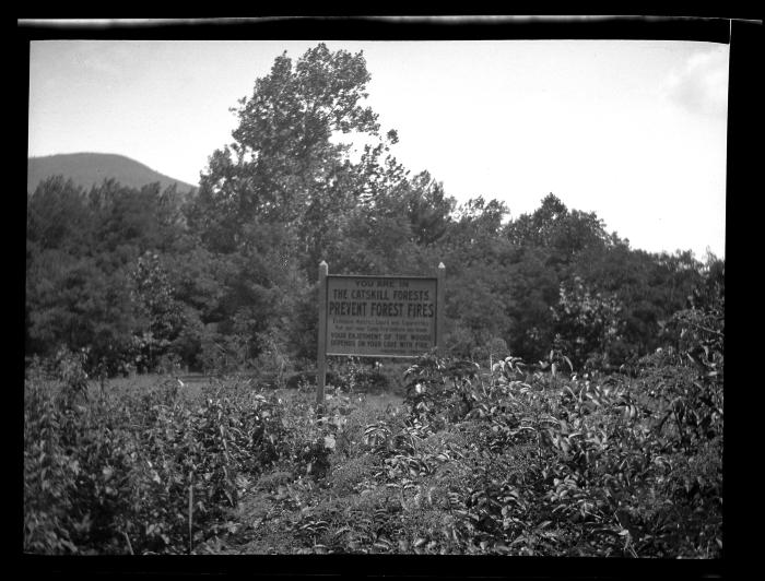 Fire Posters, Wooden Signs