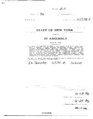 NYS Bill and Veto Jackets: 1996, Chapter 217